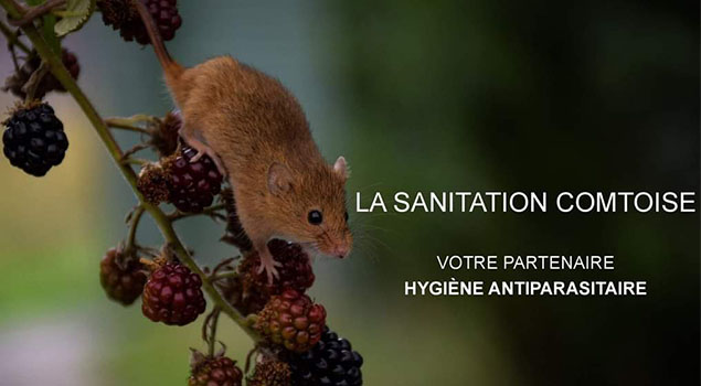 sanitation-comtoise